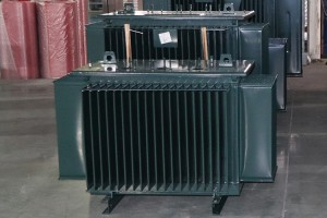 S11-M-1250/10 Trasformatore di potenza per distribuzione trifase in bagno d'olio
