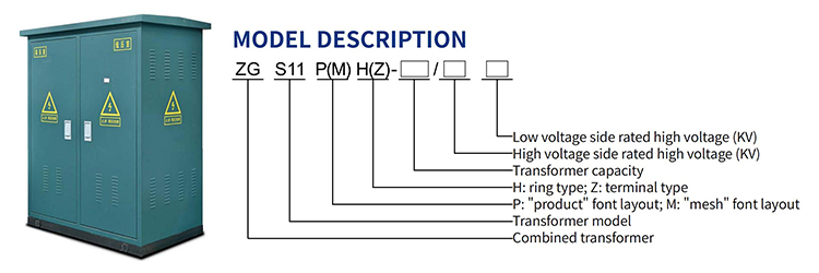 Descrizione del modello ZGS11