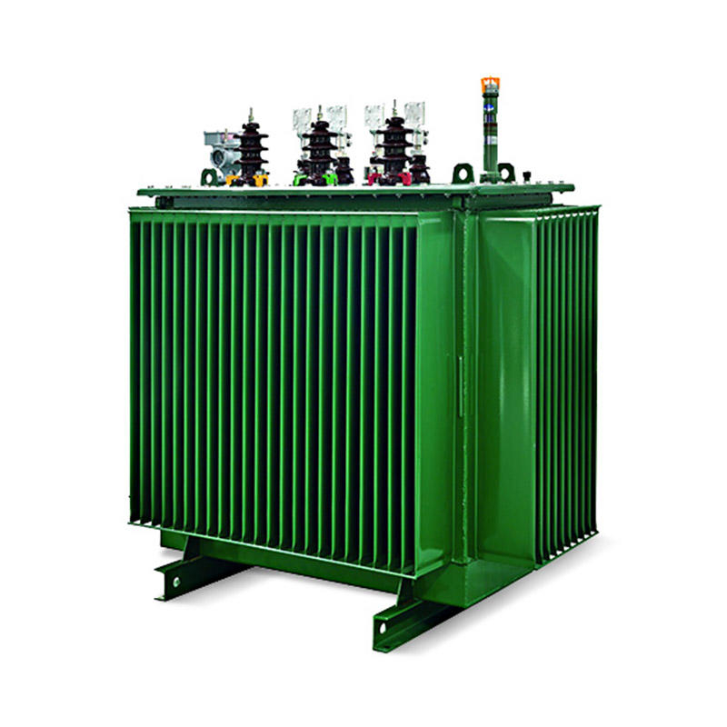 Trasformatore a bagno d'olio serie ODM Factory 10KV/11KV classe S11/S13 completamente sigillato trasformatore di potenza-Shengte